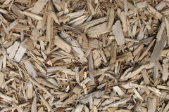 biomass boilers Smallridge