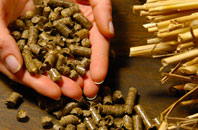 free Smallridge biomass boiler quotes